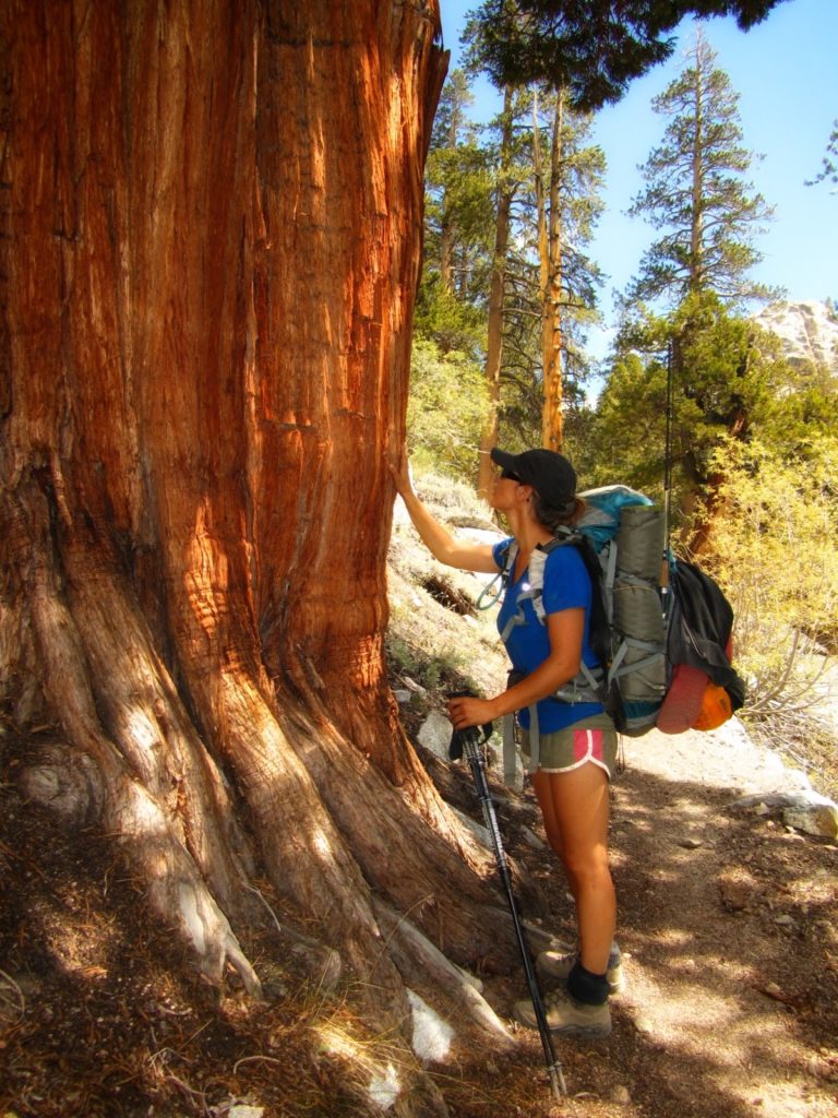 Vona in front of a Juniper on the John Muir Trail