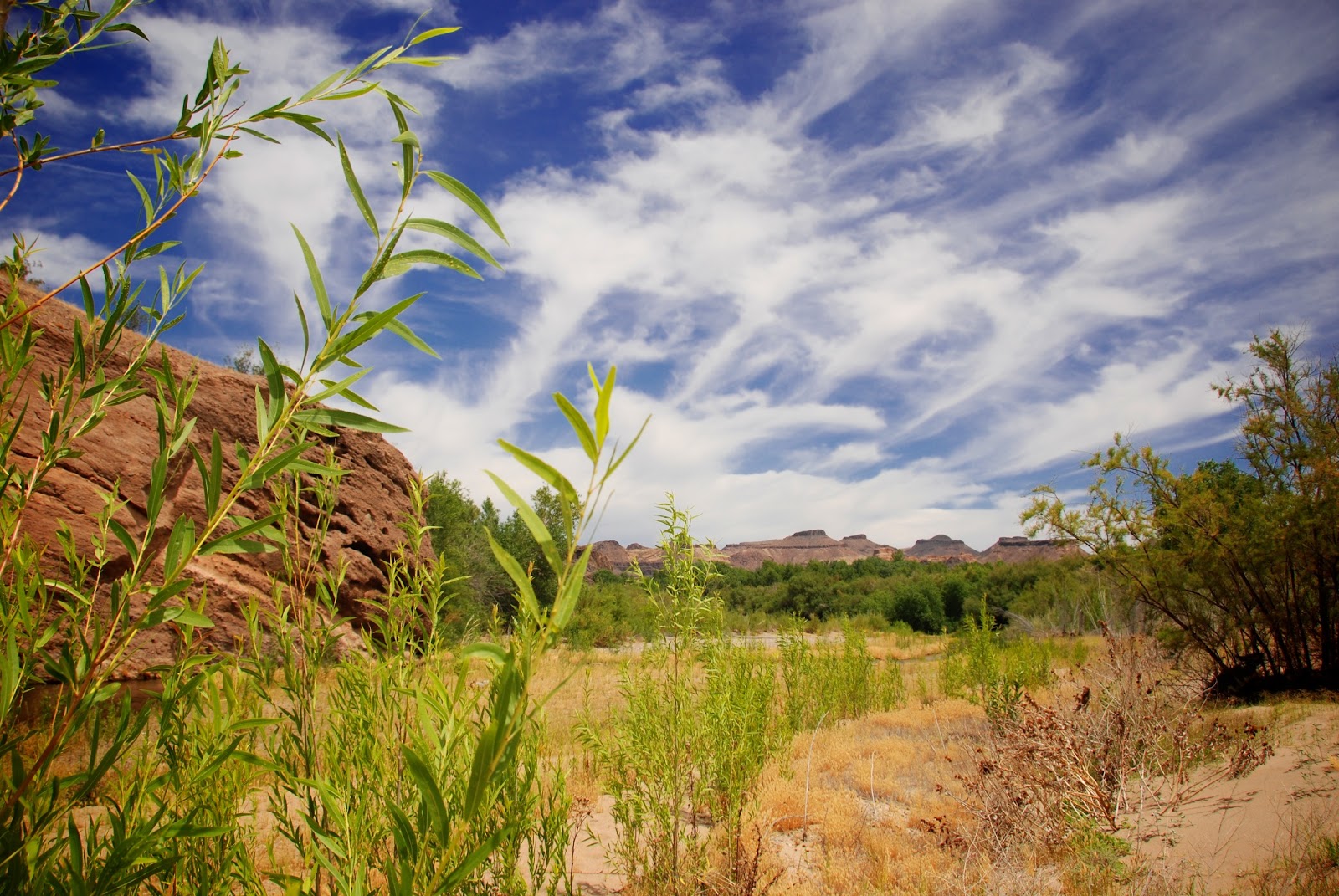 Bill Williams Wildlife Refuge