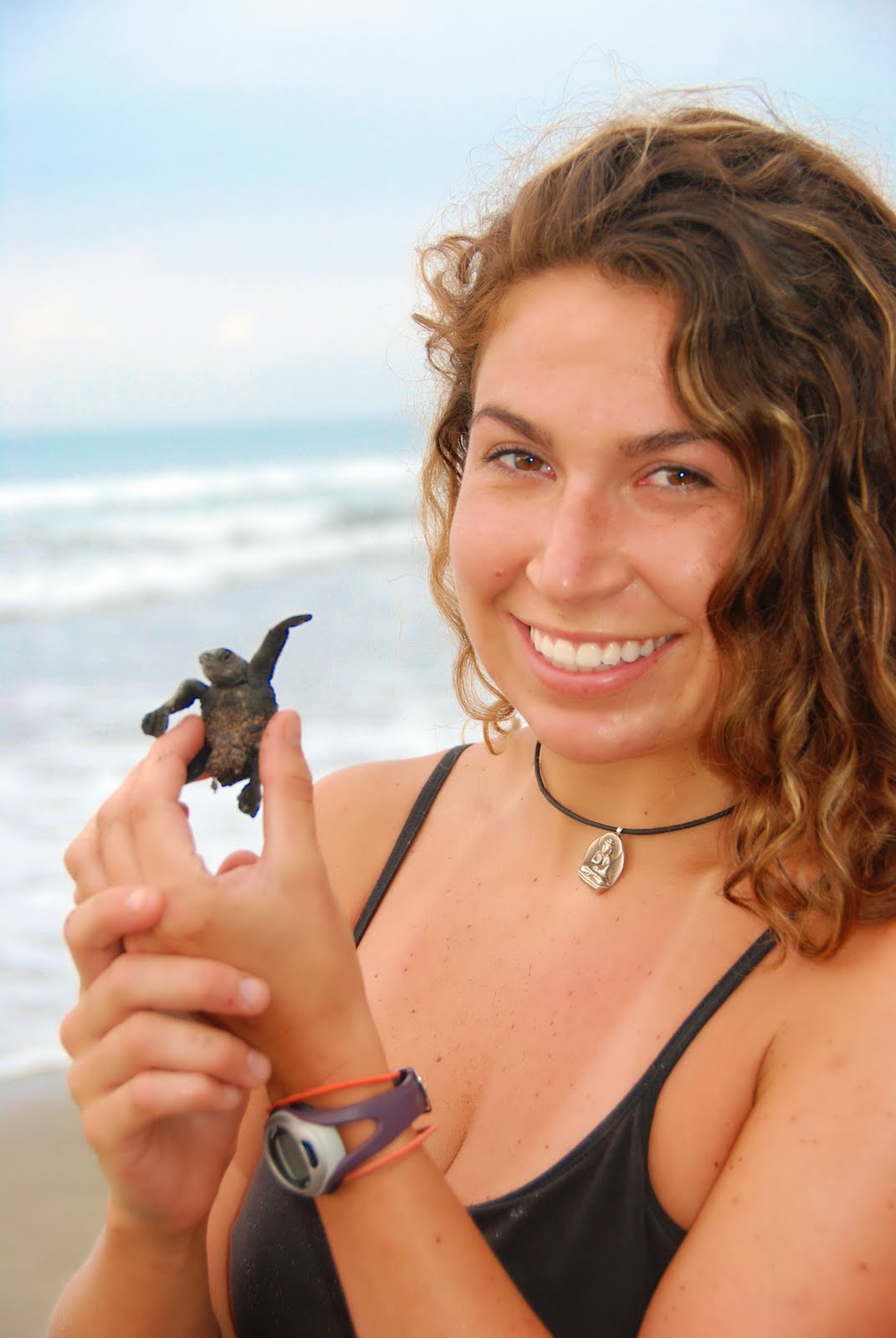 Alicia Arcidiacono with a baby sea turtle PRETOMA