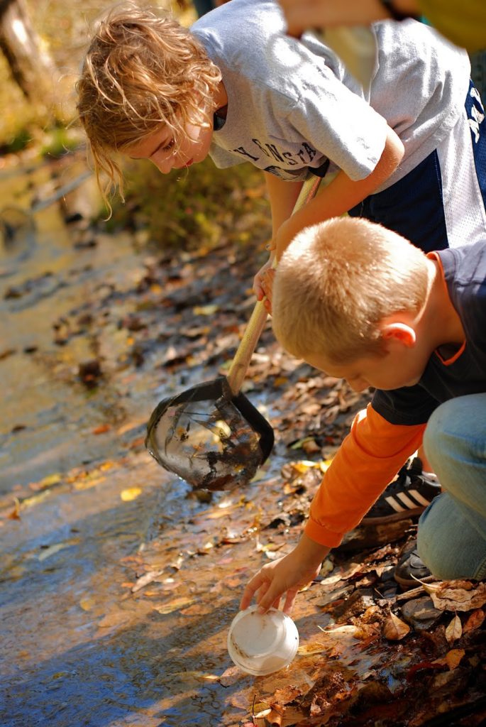 Children netting macro invertebrates in stream