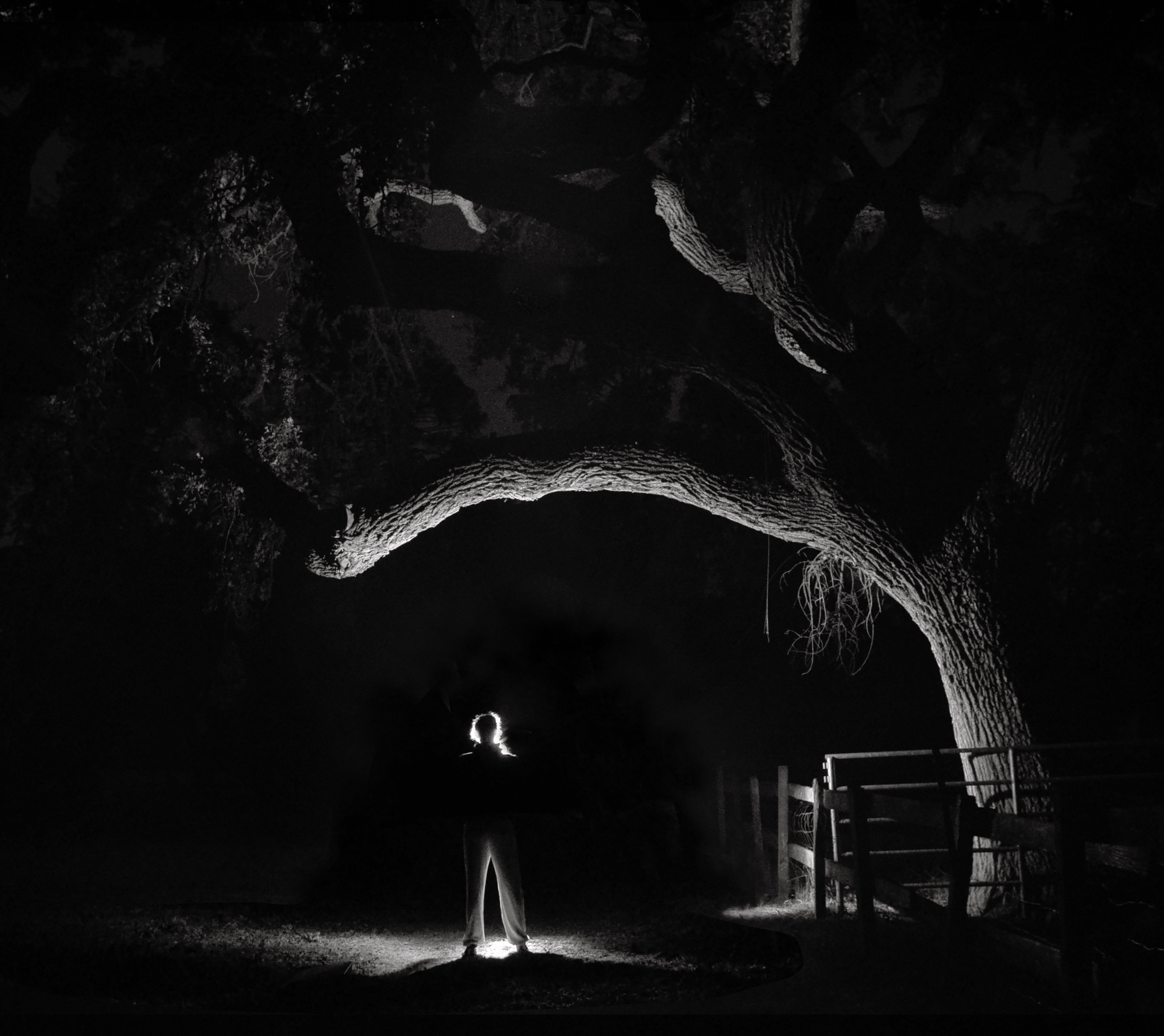 Creepy Halloween Light Painting with Erin beneath the Oak.