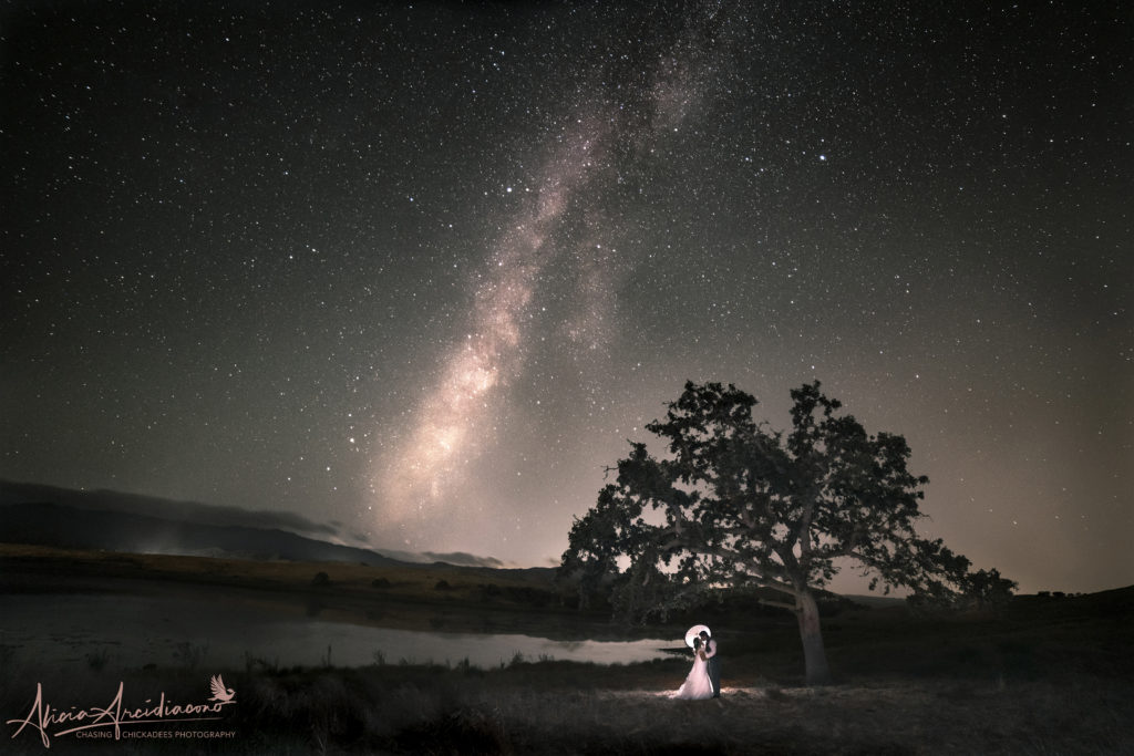 Wedding Bride and Groom Beneath the Milky Way