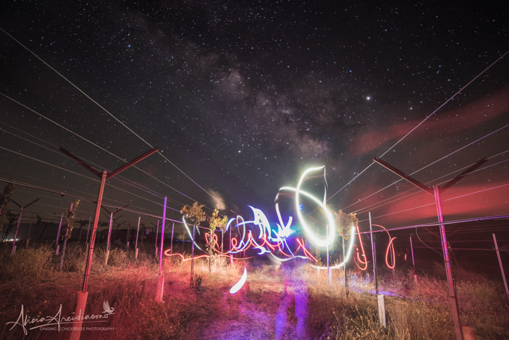 Milky Way Astrophotography at Paicines Ranch vineyard in California