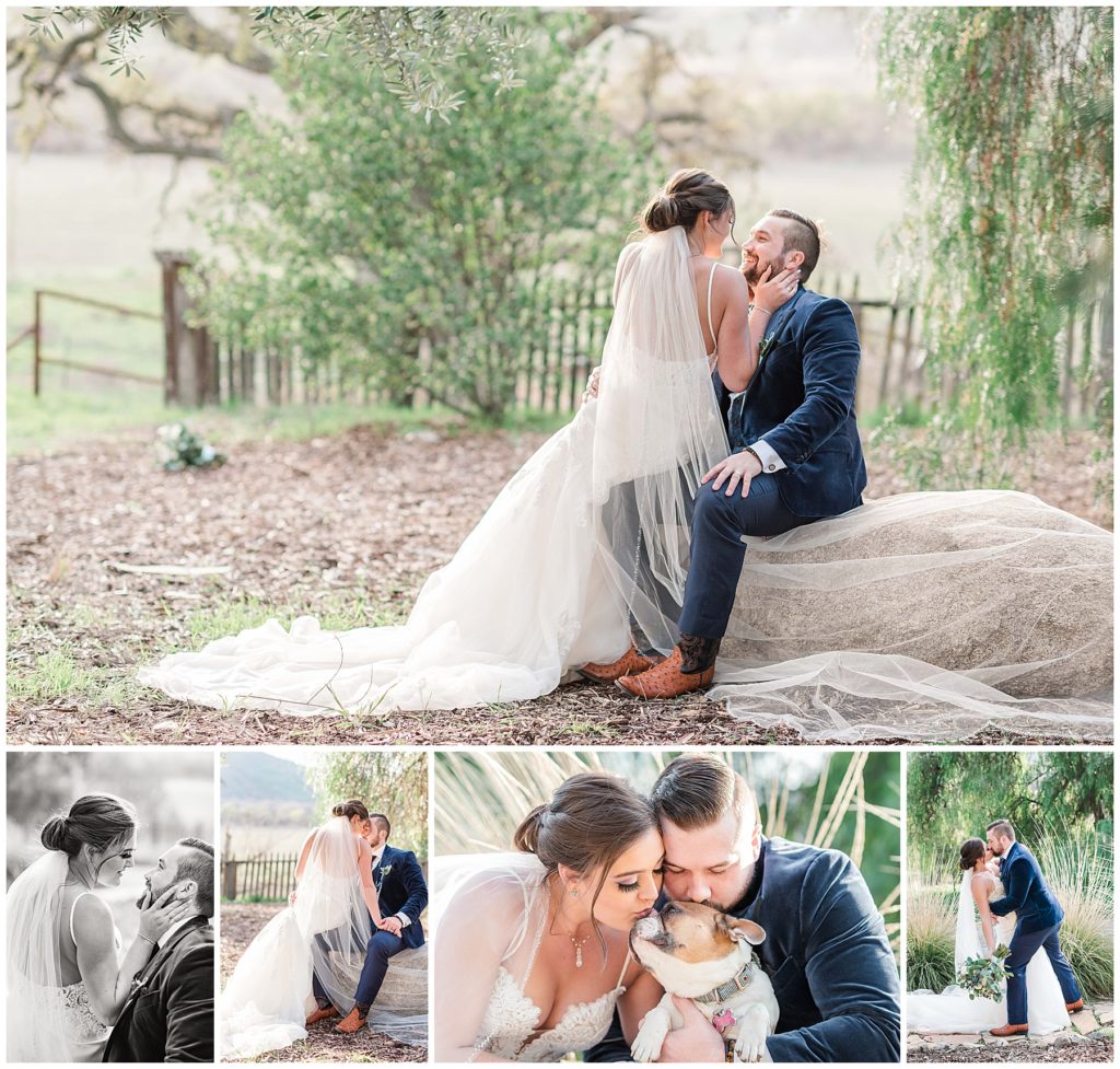 Couple Dog Paicines Ranch Wedding by Alicia Arcidiacono of Chasing Chickadees Photography