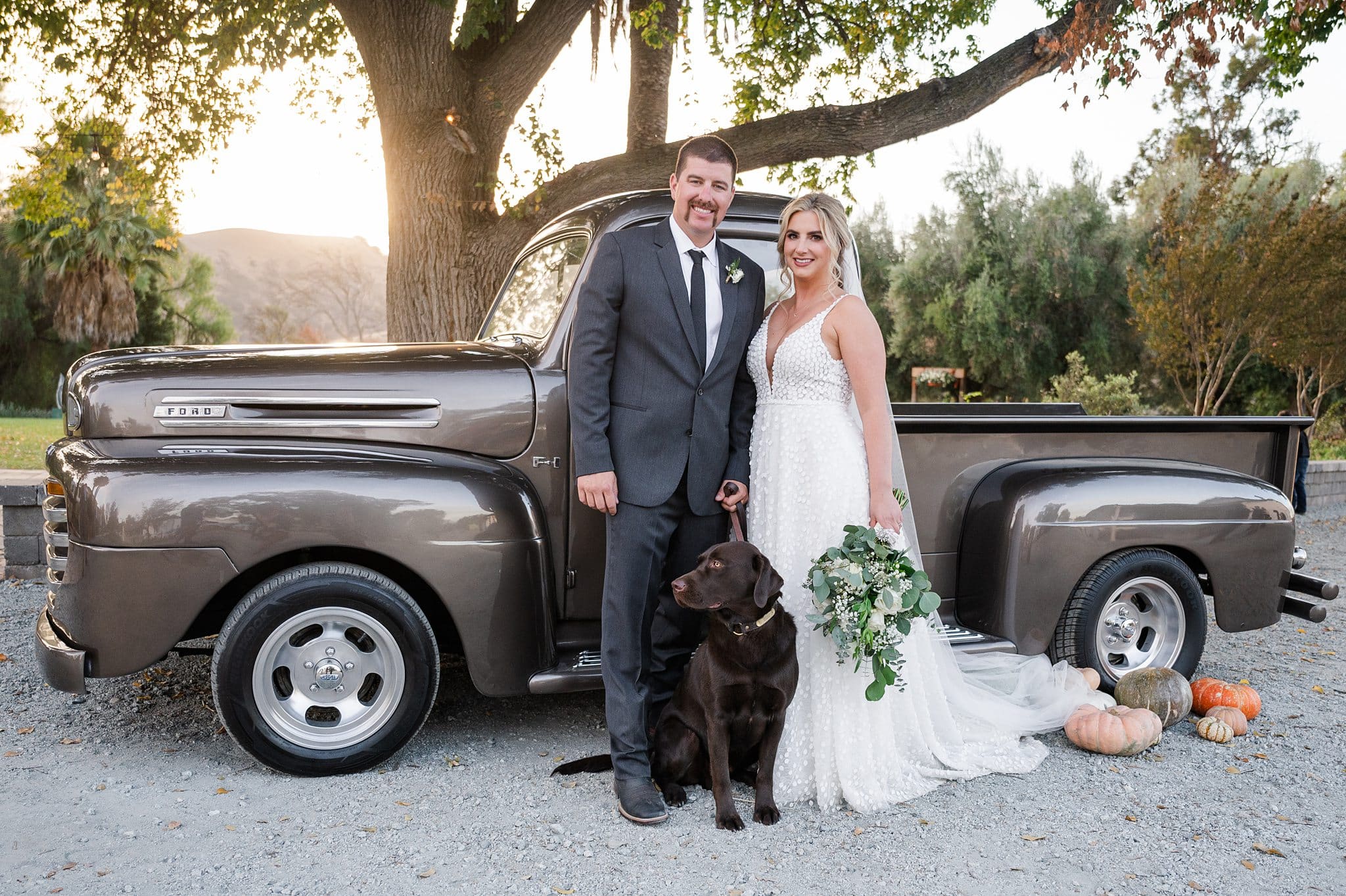 Wedding couple in front of vintage ford truck with their chocolate lab